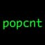 POPCNT